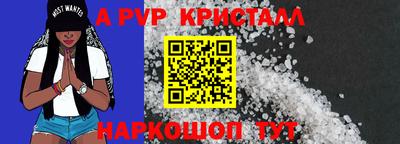 шишки Владимир