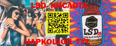 шишки Владимир