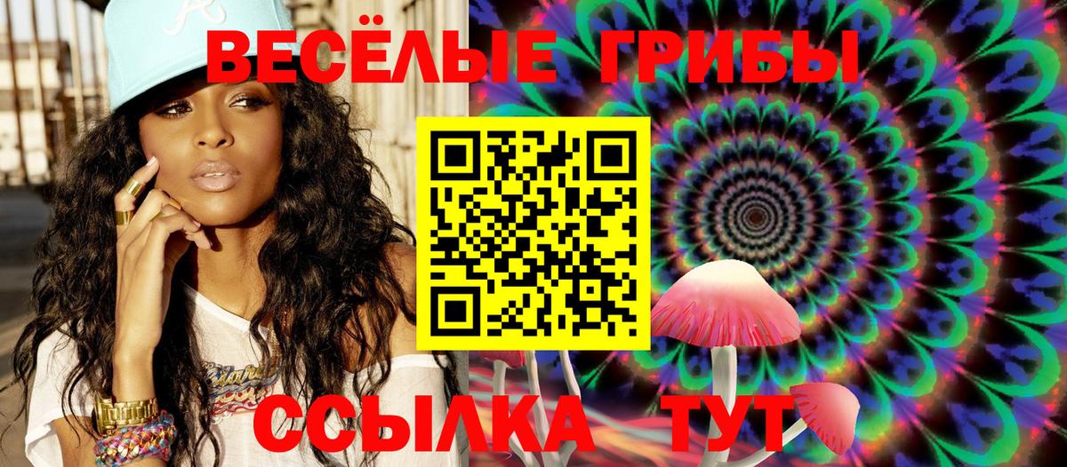 дарнет шоп  Вход с VPN  Галлюциногенные грибы GOLDEN TEACHER  Всеволожск  Галлюциногенные грибы мухоморы 